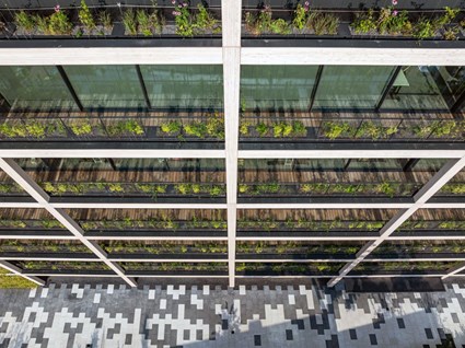 CD PROJEKT w Warszawie 