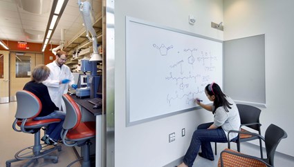 Institute for Critical Technologies & Applied Science