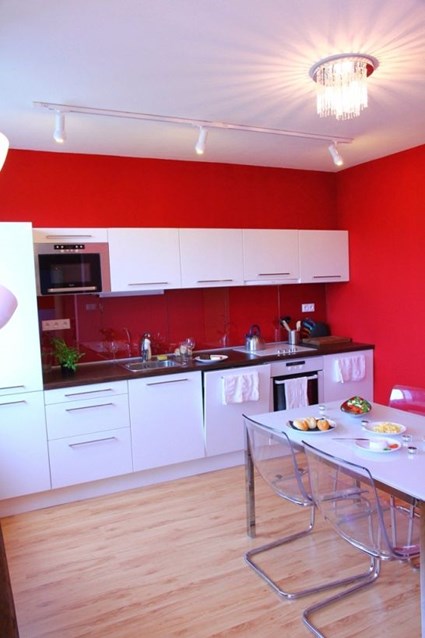 Rača Vineyards - show home