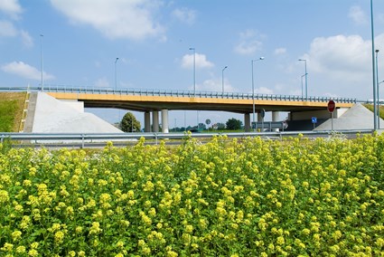 Viaduct in route of Pilzno bypass