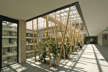 New Head Quarters of CSOB