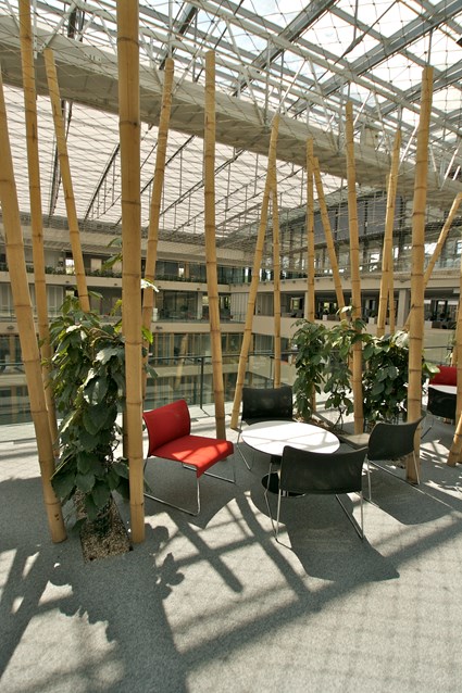 New Head Quarters of CSOB