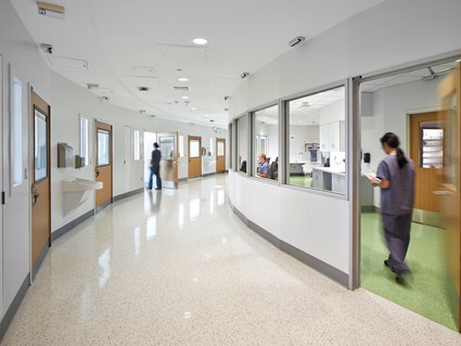 University of Virginia Health System, University Hospital Expansion