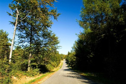 Droga wojewódzka nr 992