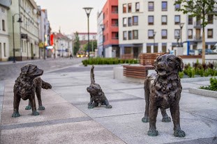 Rynek Psiego Pola we Wrocławiu