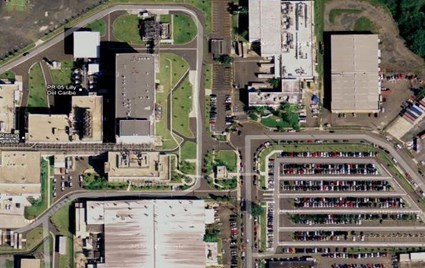 Lilly del Caribe Birdseye