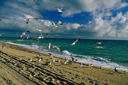 Ten Mile Creek Water Preserve