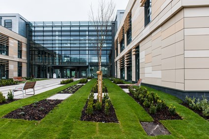 Distinctive clay panels create a stunning first impression