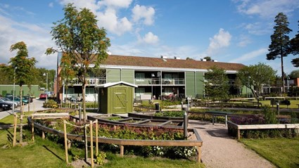 We gave the houses in My Green Quarter new roofs with sedum coating.