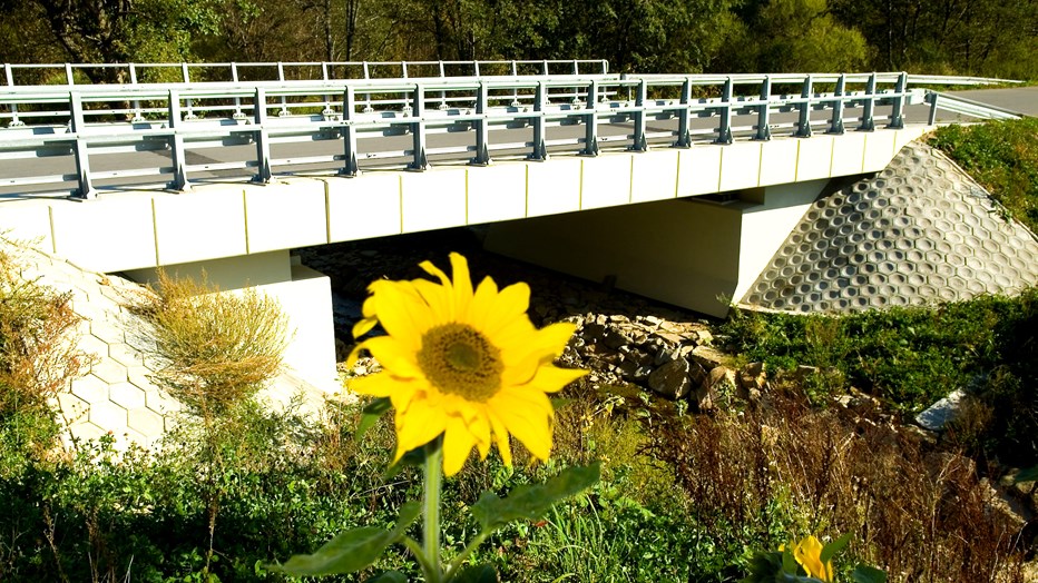 Most w ciagu drogi wojewódzkiej nr 992